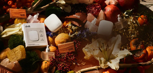 Smelly Cat, Smelly Cat, No More Bad Scents: Friends-Style Fragrances for Your Home