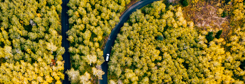 Would You Survive a 24-Hour Road Trip? Here’s What You’d Need