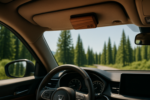 Your Air Freshener Is Telling People Way More Than You Think