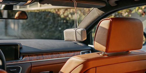A car air freshener from a subscription box hanging inside a car.