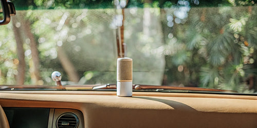 An eco-friendly car air freshener subscription shown on the dashboard of a car.