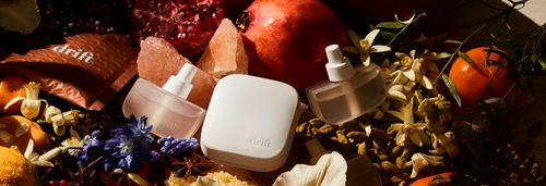 The 5 Best Home Diffusers For Premium and Luxury Scents