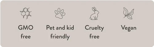 Pet Safe Car Air Freshener: A Thoughtful Guide