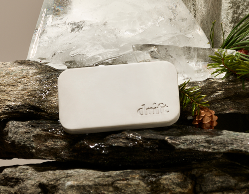 4 Best Eco-Friendly Car Air Freshener Subscriptions