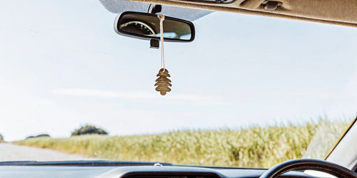 Natural car air freshener hanging from a rearview mirror on a scenic drive.