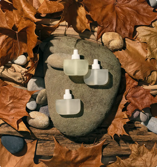 Secret Best Sellers Home Scent Diffuser