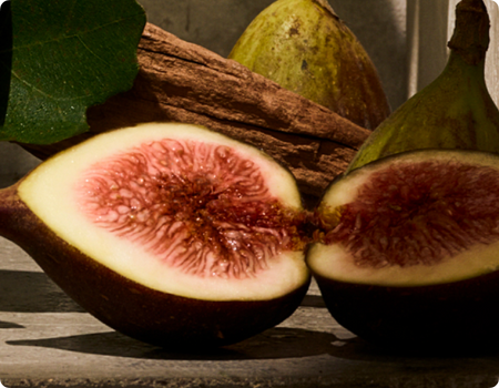 Fig Tree - Metal Car Freshener Refill