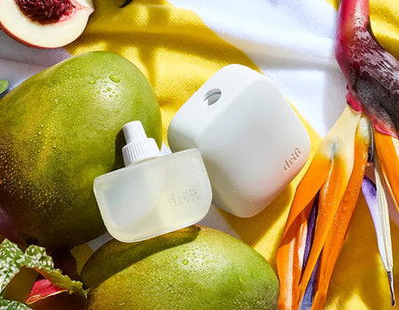 Home Scent Diffuser Refill- Island Nectar