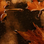 Maple Syrup