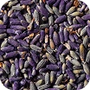 french lavender