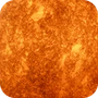 golden amber
