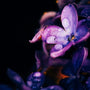 Lavender Noir