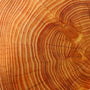 Mahogany