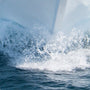 Sea Spray
