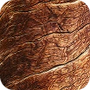 Teakwood